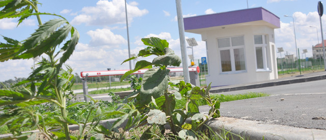 Parcul Industrial de la Slobozia are datorii
