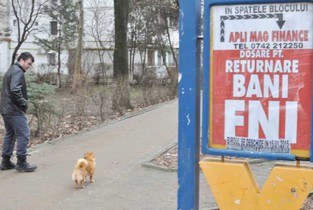 Promisiuni «pe bani» pentru 6000 de ialomițeni