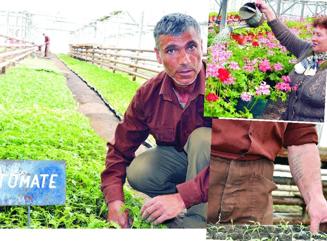 Florile de după gratiile Penitenciarului Slobozia