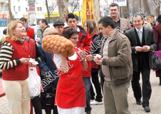 Slobozia, invadată de roze creponate