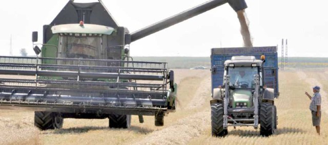 Ialomița: Producție medie de grâu de peste 4500 kg/hectar