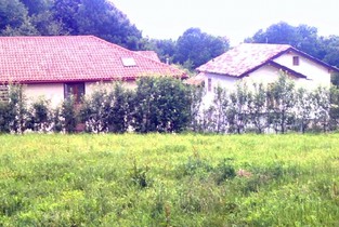 Autoritățile din Dridu, acuzate de furt