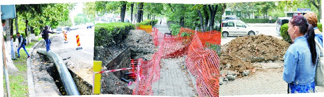 «Groapa lui Stoica» naște pui