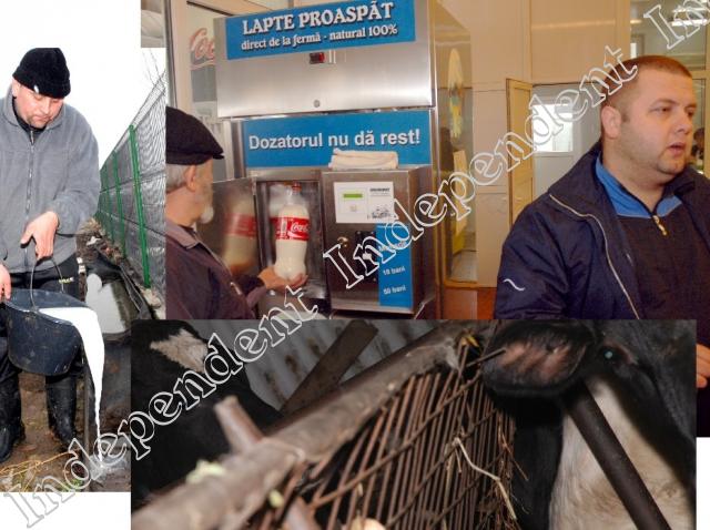 Războaiele lăptarilor