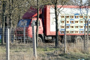 Slobozia: Stuparii de pe strada Trandafirilor au fost evacuați