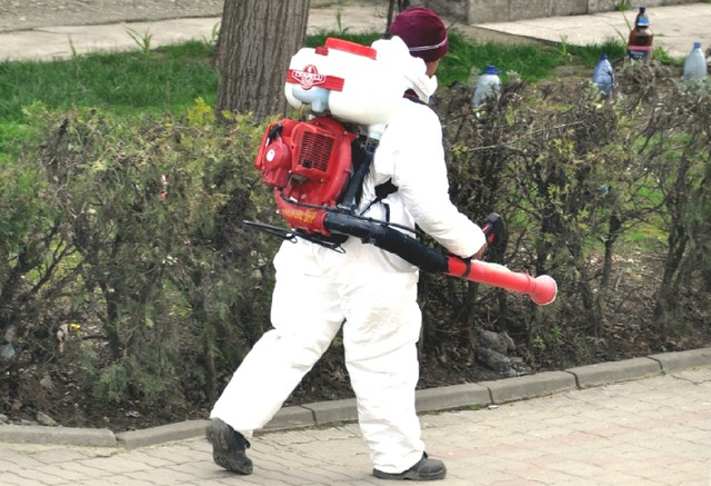 Ialomița: Virusul Zika declanșează marea «desțânțărizare»