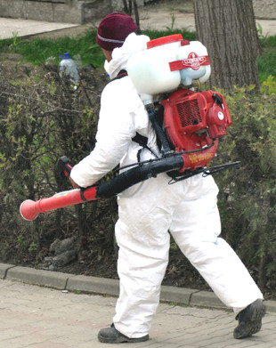 Autoritățile ialomițene ignoră «alerta Zika»