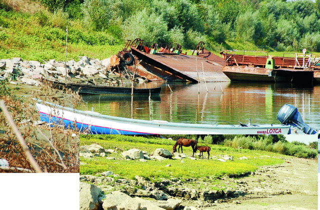 Bordușani: Faleza abandonată de la malul Dunării