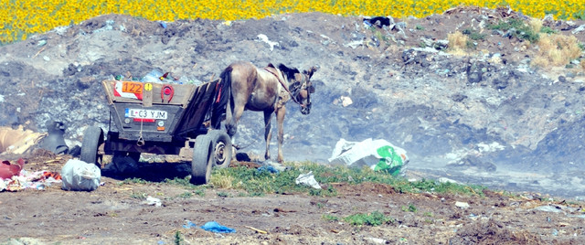 Ialomița nu a închis gropile de deșeuri menajere neconforme