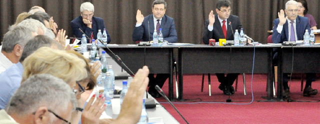 Un consiliu județean, două administrații politice