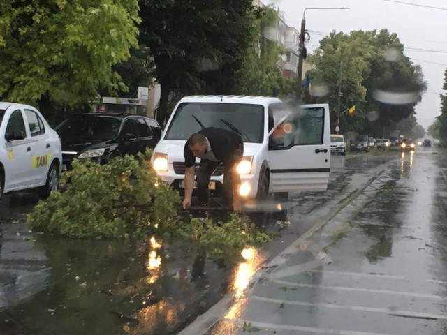 Șoferul unei mașini, surprins în timp ce îndepărta de pe șosea copacii doborâți de vânt
