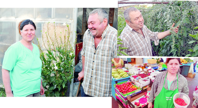 «Fabrica de goji» a familiei Began