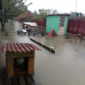 Casă inundată la Păltiniș