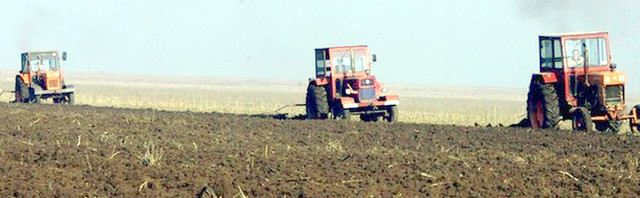 Tranzacții cu terenuri agricole în valoare de 150 milioane de lei
