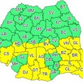 Cod Galben de ninsori în județul Ialomița