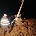 Gheorghe Doja: A smuls din pământ un stâlp de electricitate cu mașina