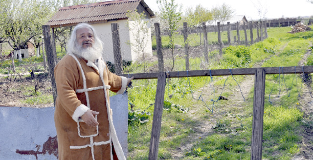 Legea lui Pârvu