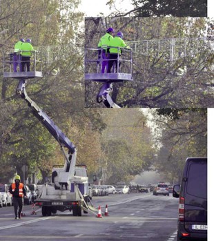 Primăria Slobozia plătește 150 mii de lei pentru ornamentele de Crăciun