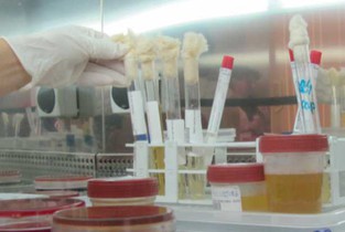 Infecții cu bacterii care provoacă boli digestive grave, în spitalele din Ialomița