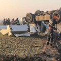 Cotorca: Cetățean bulgar, mort într-un accident rutier