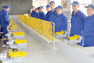 Învățământul profesional dispare treptat