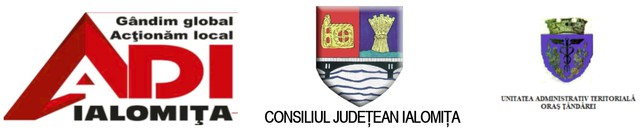 PRIVIND DEMARAREA PROIECTULUI  «SISTEM DE SUPRAVEGHERE VIDEO ÎN ORAȘUL ȚĂNDĂREI, JUDEȚUL IALOMIȚA»