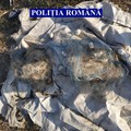 Braconajul piscicol, în atenția polițiștilor ialomițeni