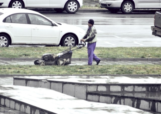 Iarba arsă de acasă