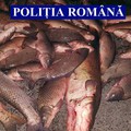 Valea Ciorii: Peste 300 kg de pește, o barcă pneumatică și plase, confiscate de polițiști