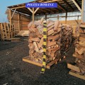 Fetești: Lemne confiscate de polițiști