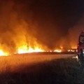 Ialomița: Incendii de vegetație