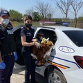 IPJ Ialomița: Acțiune caritabilă a polițiștilor din cadrul Secției 1 Slobozia 