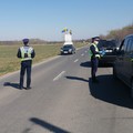Respectarea Ordonanțelor Militare, verificată de polițiștii ialomițeni