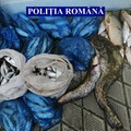 Făcăeni: Peste 80 kg de pește, confiscate de polițiști
