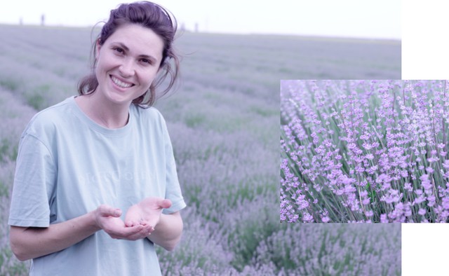 Raiul de lavandă de la marginea Ialomiței