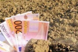 Ialomița, printre primele județe din țară privind solicitările pentru plata subvenției pe suprafață