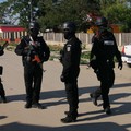 Razie de amploare a polițiștilor la Țăndărei