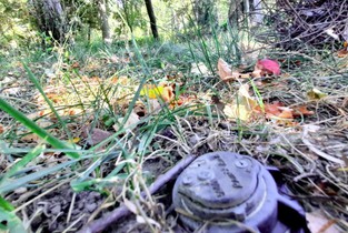 Parcul Tineretului din Slobozia a rămas fără sistemul de irigații inteligent