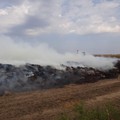 Manasia: Incendiu de vegetație uscată și gunoi de grajd