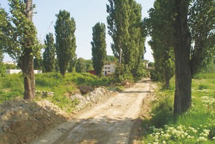 Parcurile de 4,7 milioane de lei din Ialomița s-au transformat în maidane