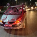 Movilița: Omorâtă pe trecerea de pietoni