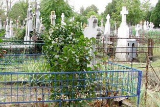 Cimitir fără autorizație în Cartierul Vlașca din Fetești