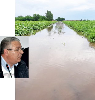Decizii eronate la Filiala Teritorială de Îmbunătățiri Funciare Ialomița