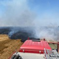 Incendii la locuințe din Fierbinți-Târg, Broșteni și Fetești. Incendii de vegetație uscată și miriști la Ograda, Borănești, Țăndărei și Jilavele!