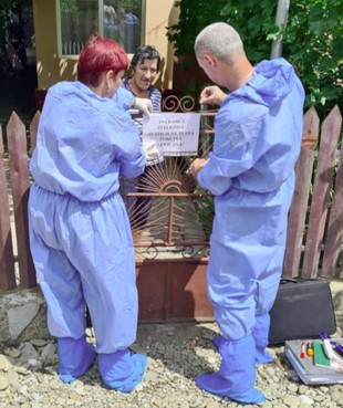 50 de focare de Pestă Porcină Africană în 3 localități din Ialomița