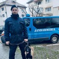 Un nou câine de serviciu pentru Inspectoratul de Jandarmi Județean Ialomița