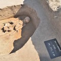 Schelet uman de 2000 de ani, descoperit de arheologii Muzeului Județean Ialomița