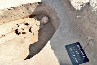 Schelet uman de 2000 de ani, descoperit de arheologii Muzeului Județean Ialomița