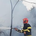 Gura Ialomiței: Incendiu la groapa de gunoi