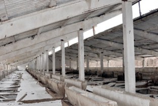 Parc industrial pe ruinele «Complexului Bora»